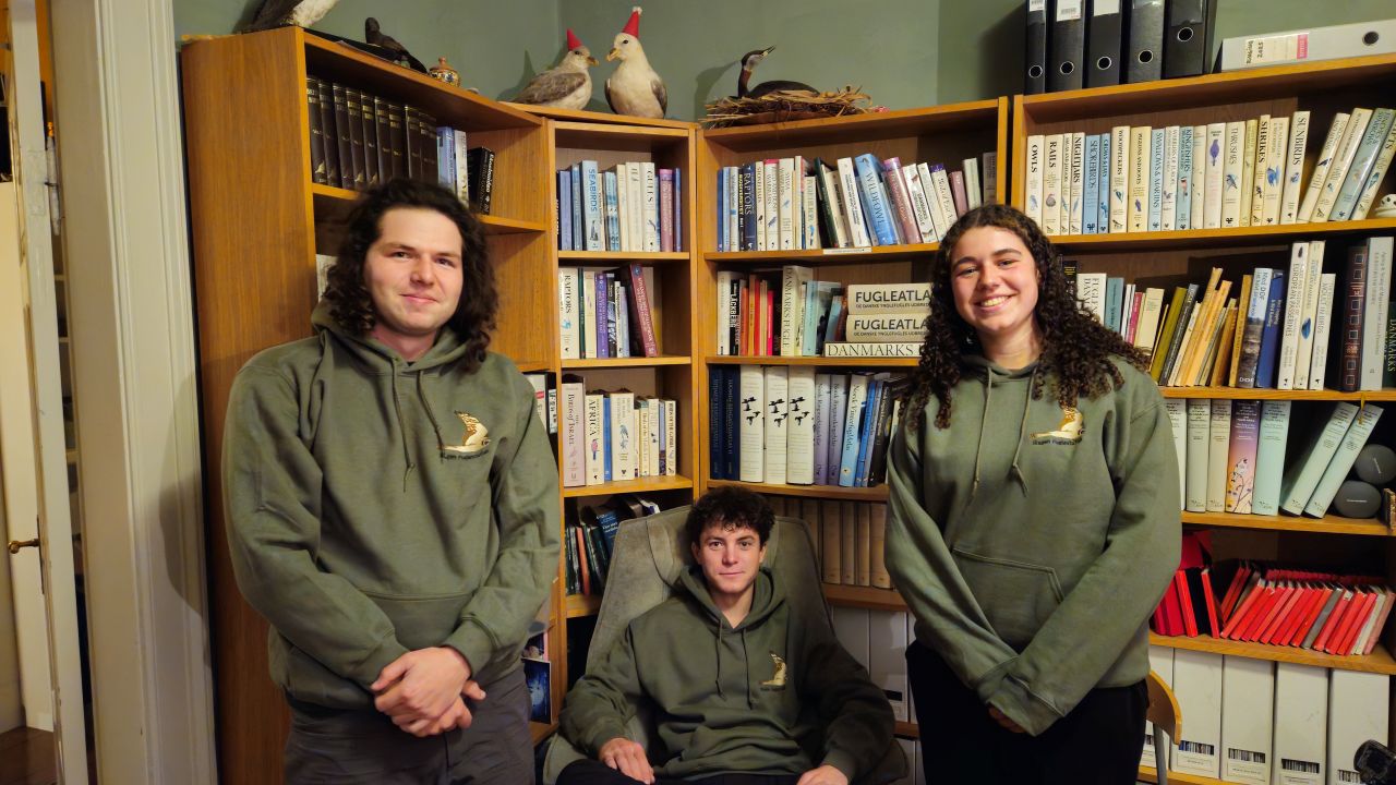 Skagen Hoodies 13 11 2025 János Schadl