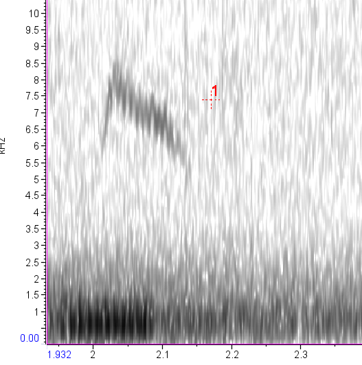 Waldi_Screenshot_2026-10-03_135205.png