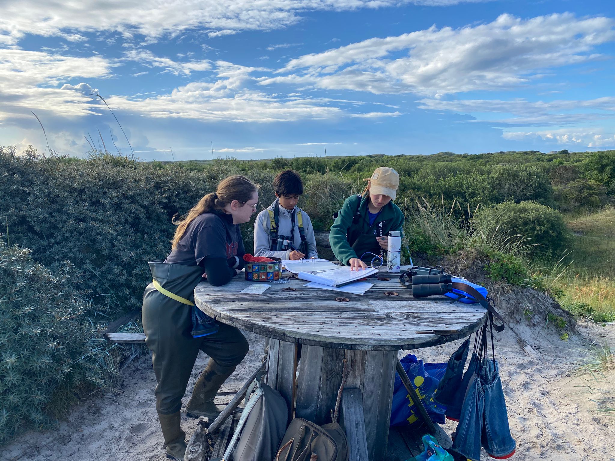 Kabeltrommeln Ringing 3.8.25
