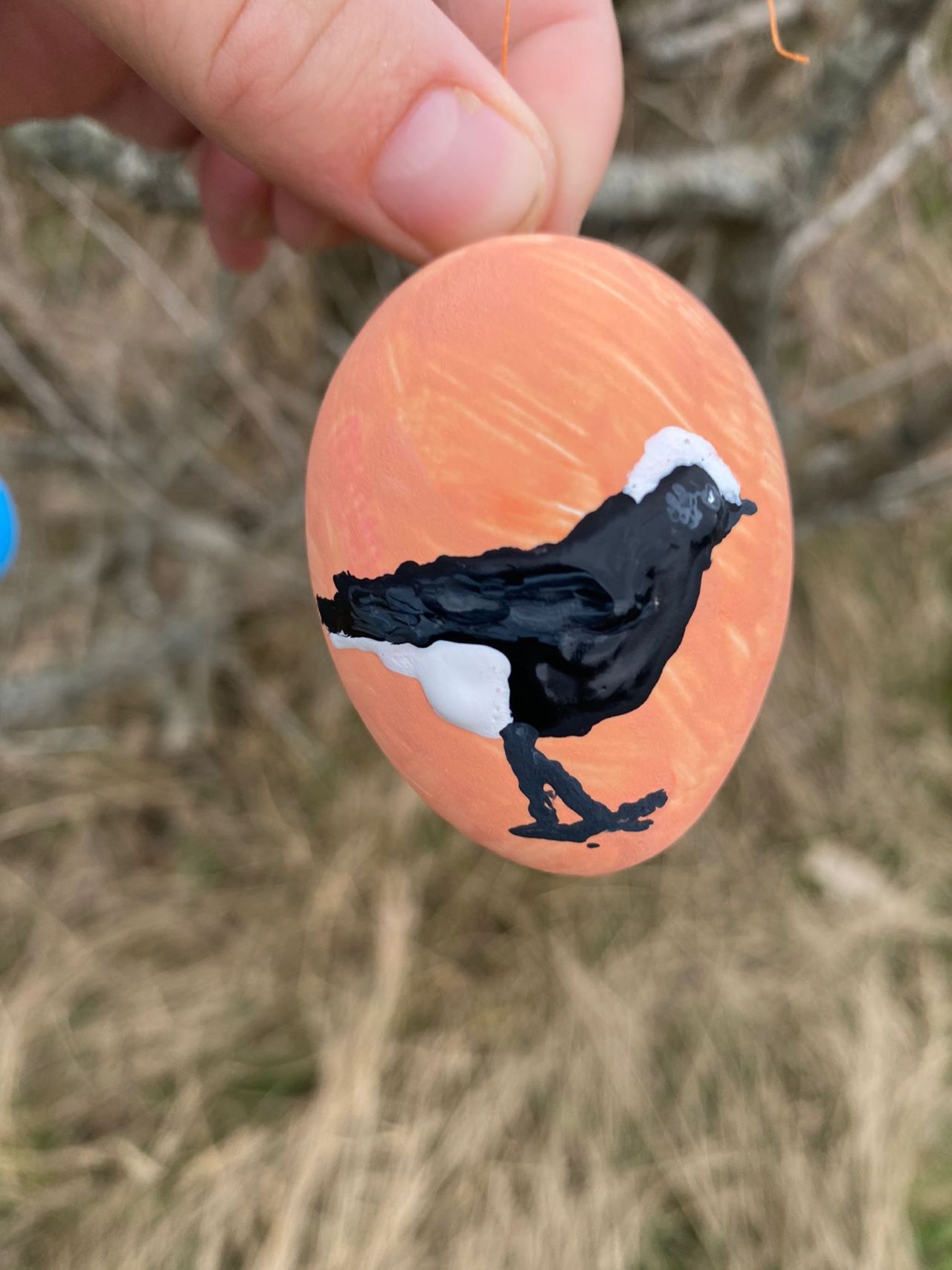 White_crowned_Wheatear_Easter_egg.jpg