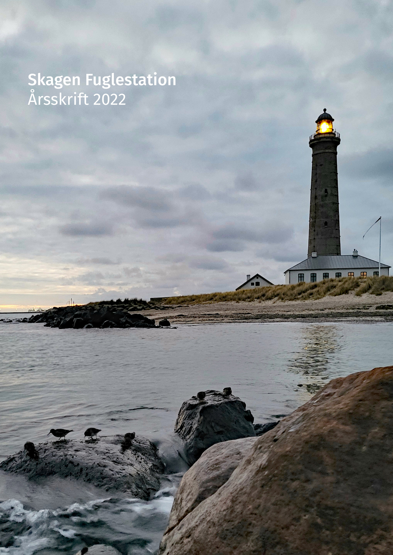 Aarsskrift 2022 andenudgavw