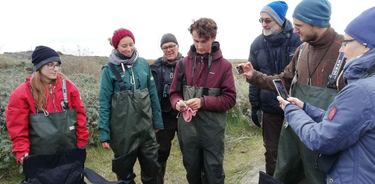 shrike watch kabeltromle