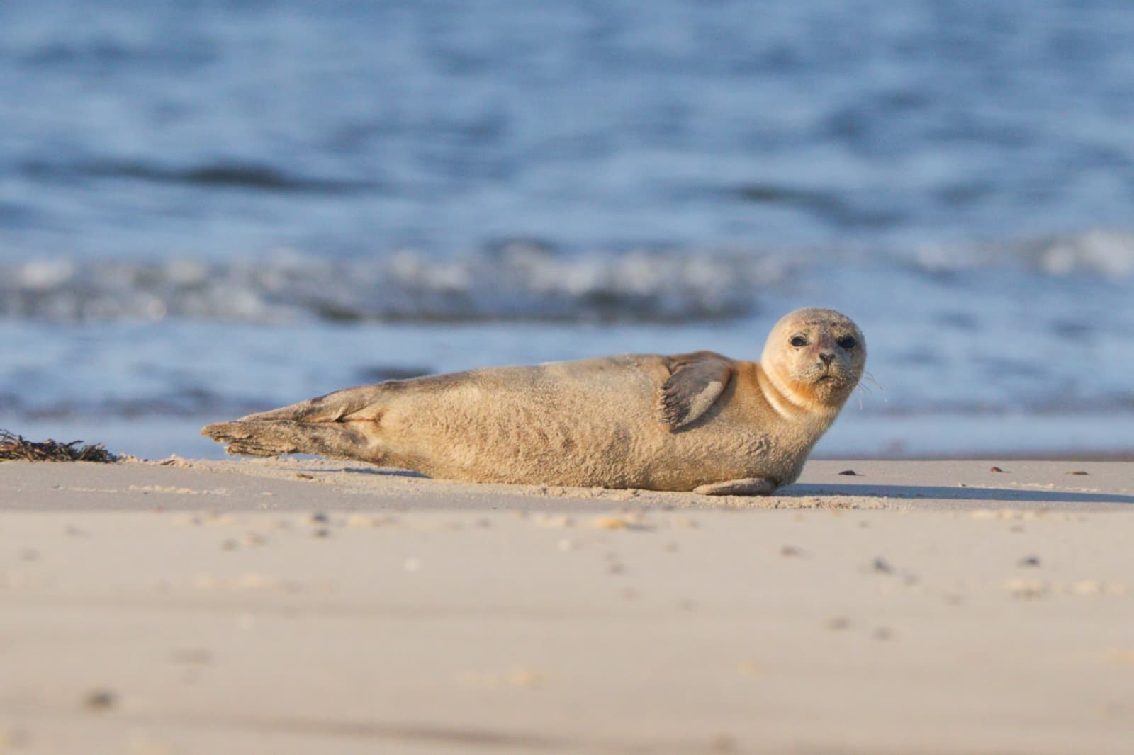 b48d8f4a 4226 4b35 abcc 0a593cab35a0