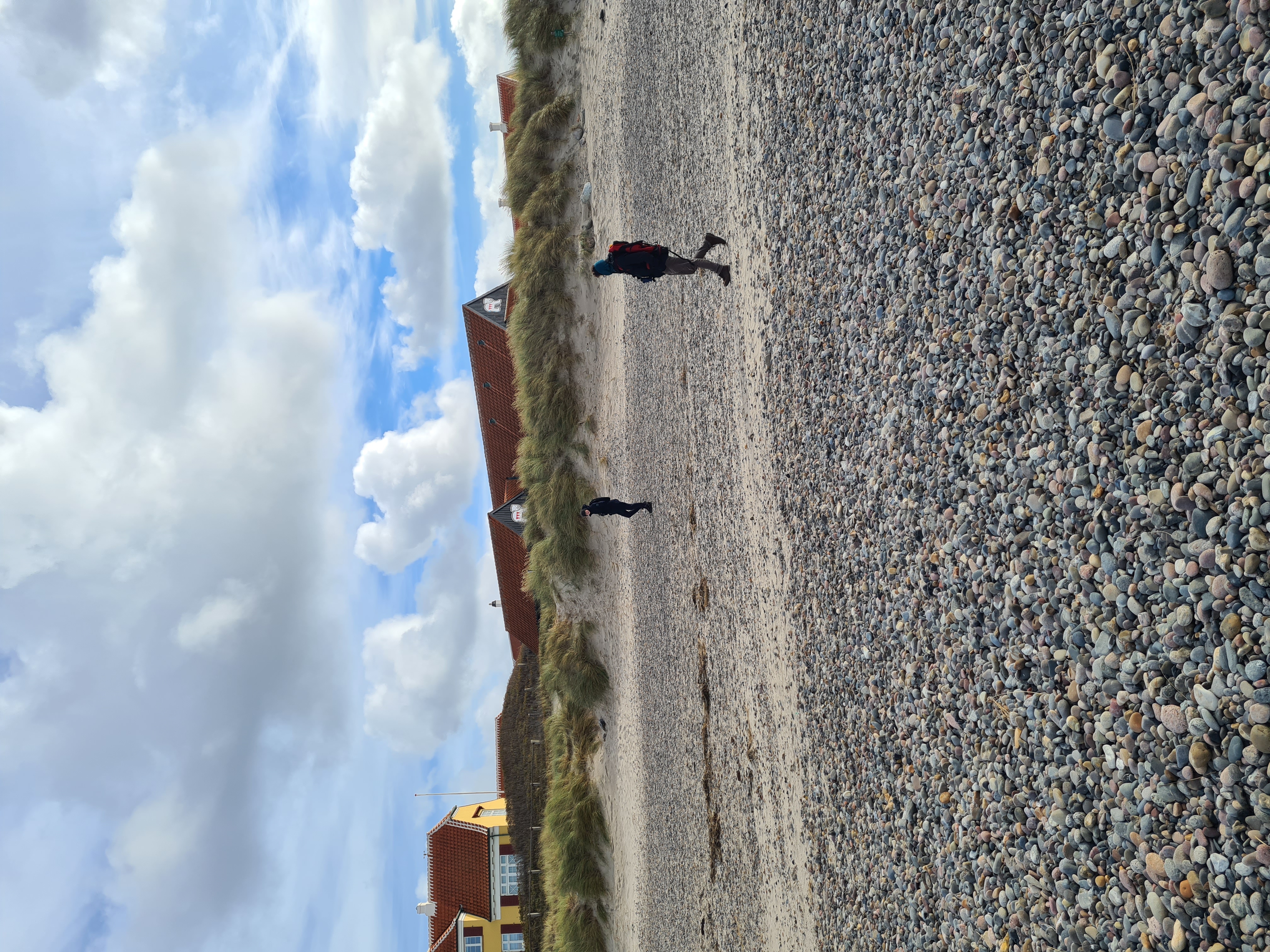 beach-walk_2026-10-04.jpg