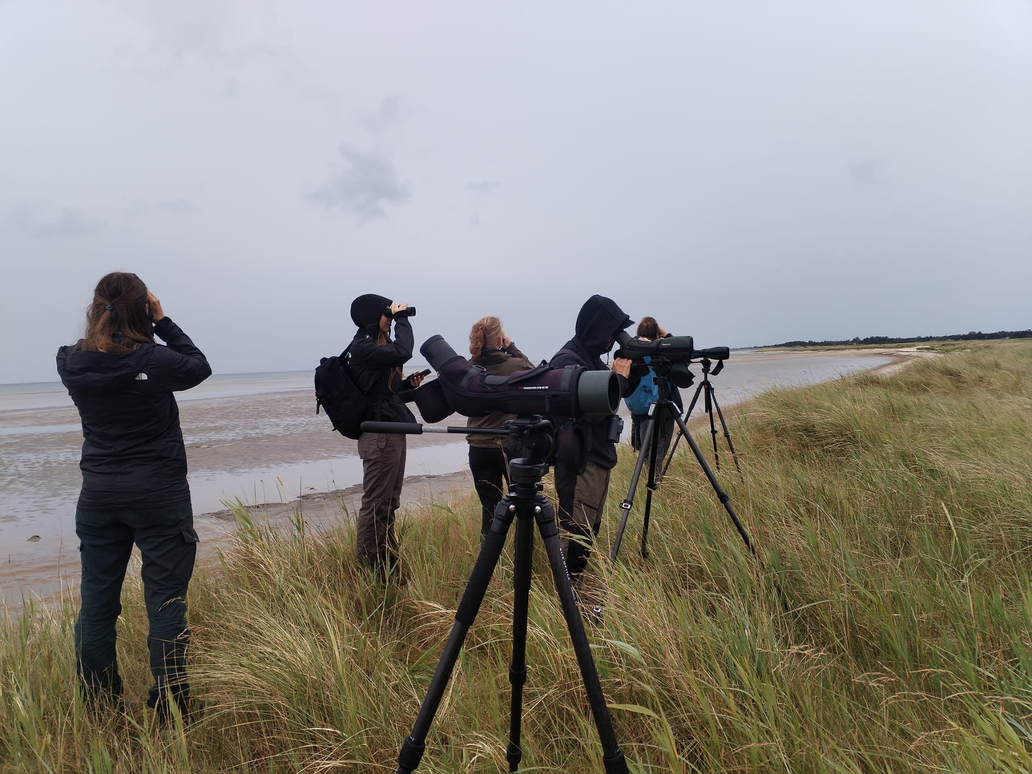 birdwatching_Jerup.jpeg