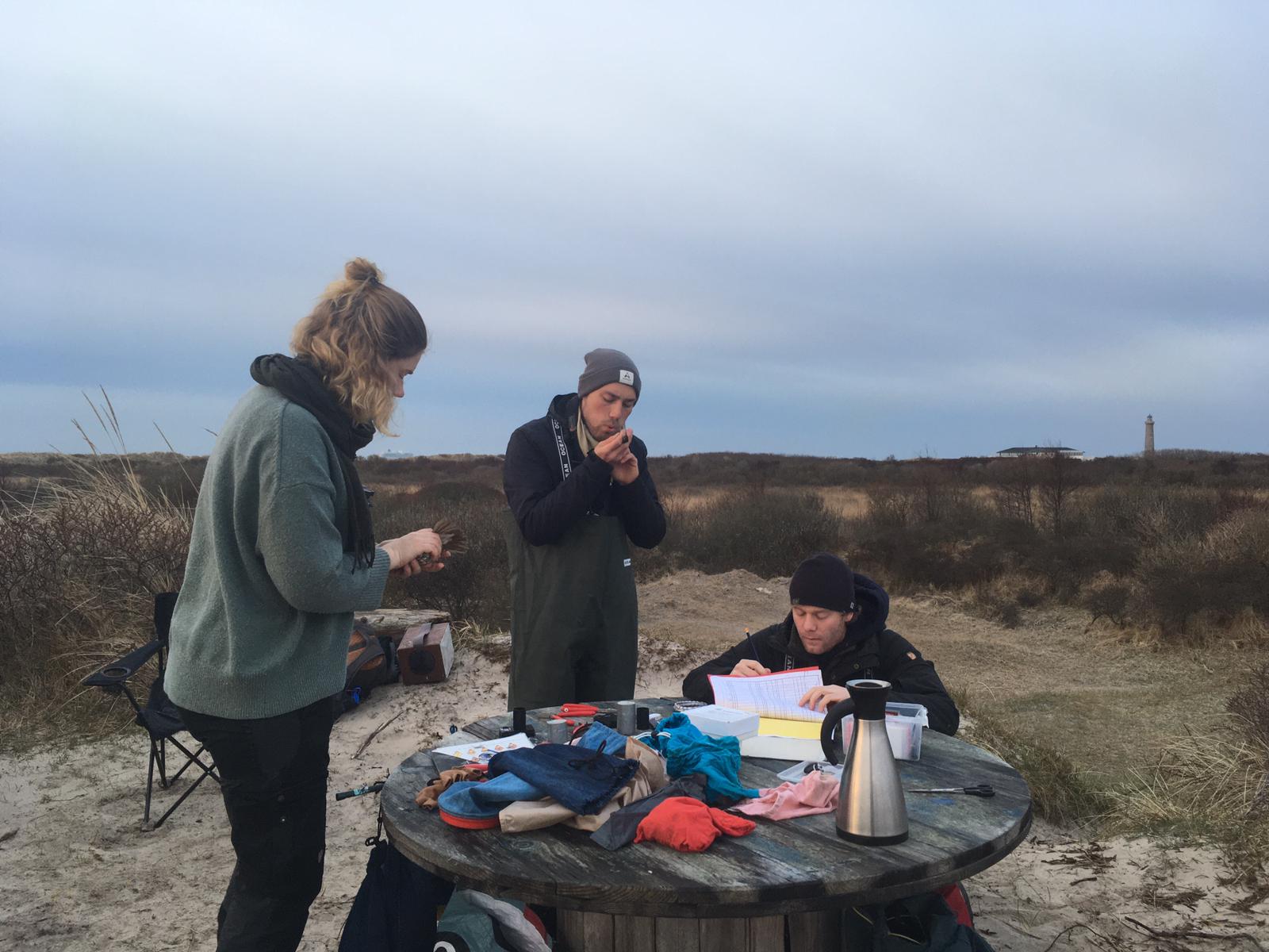 Todays ringing