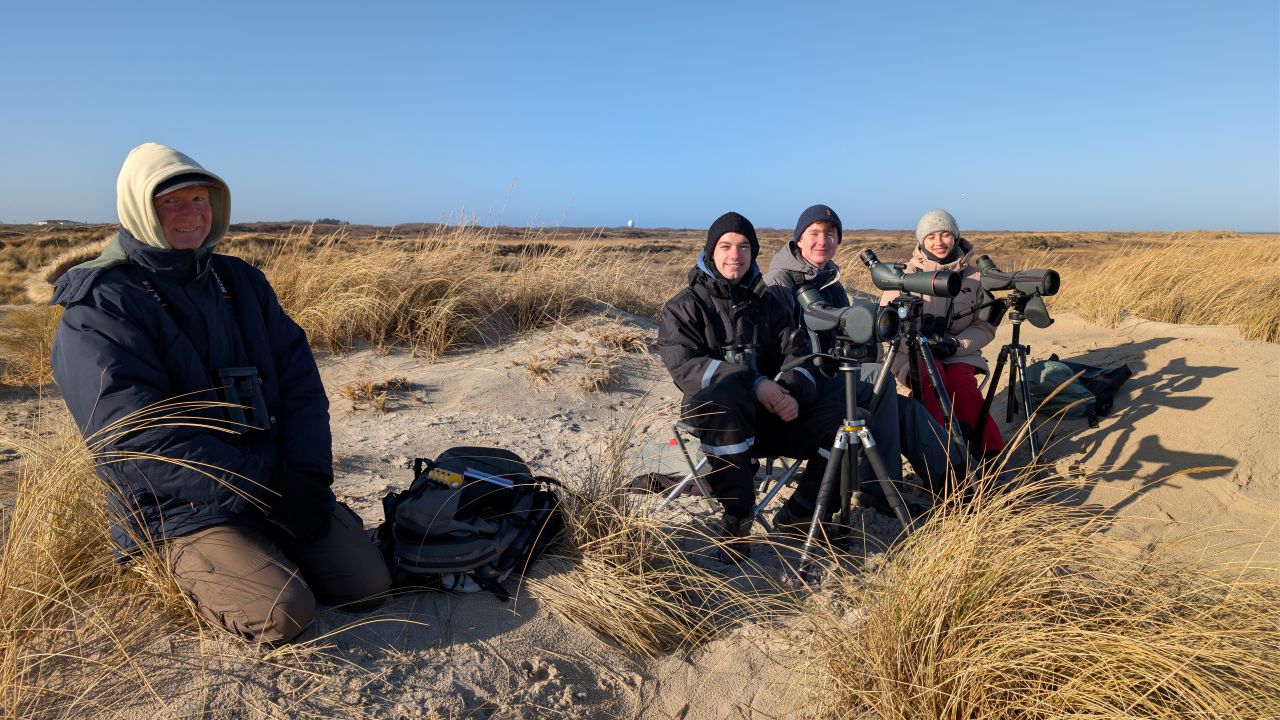 counters WE3 01 03 2026