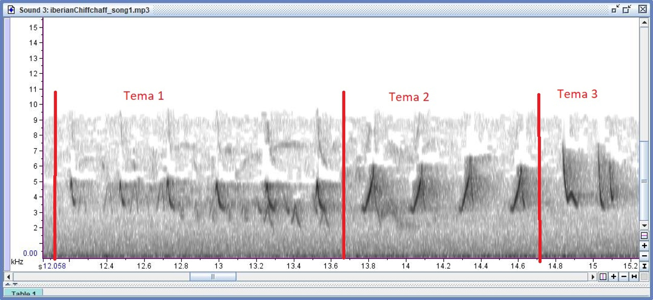 iberianChiffchaff song2 2