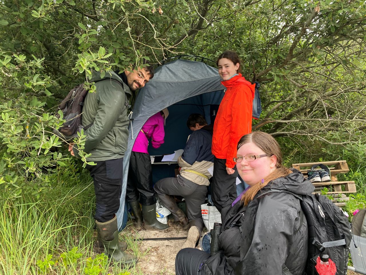 ringing tent 25 07 2026