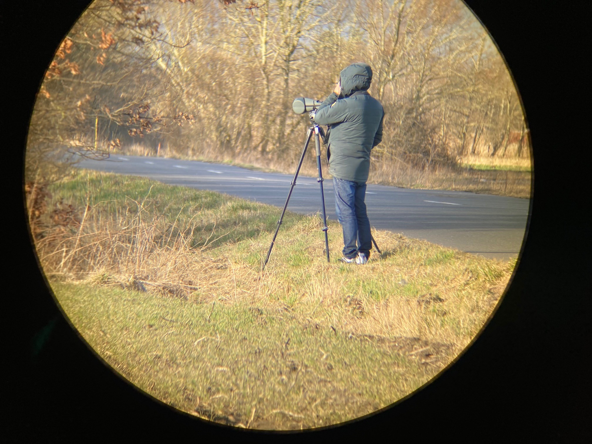 digiscopeofSimon2025