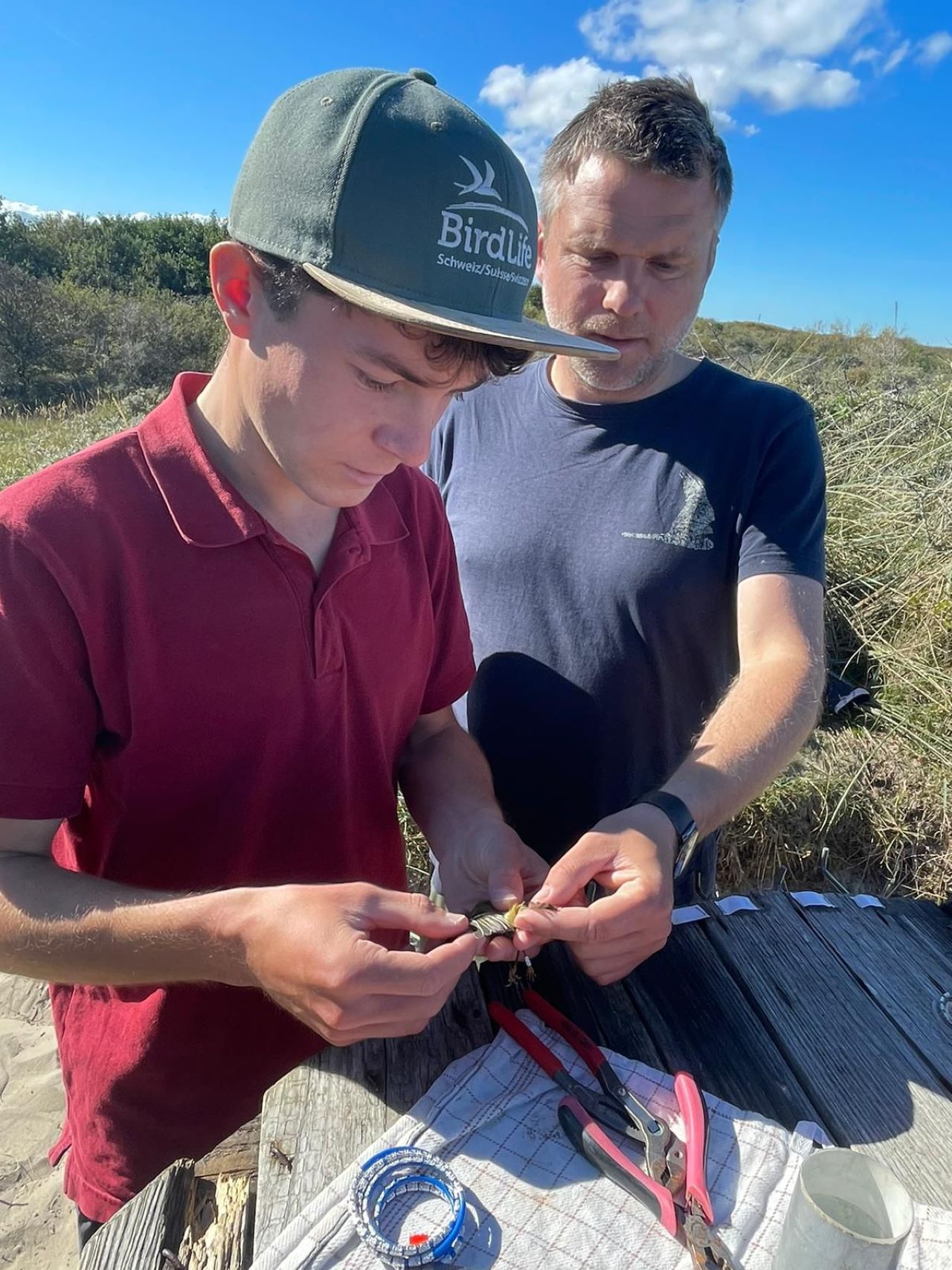 florian_learning_ringing.jpg