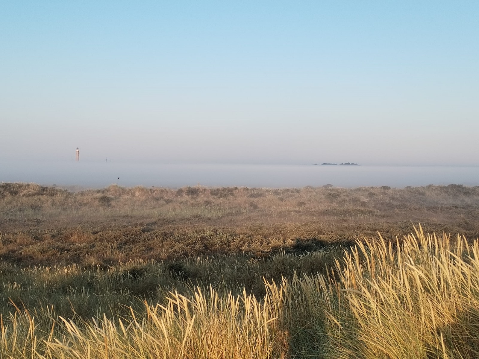 fog