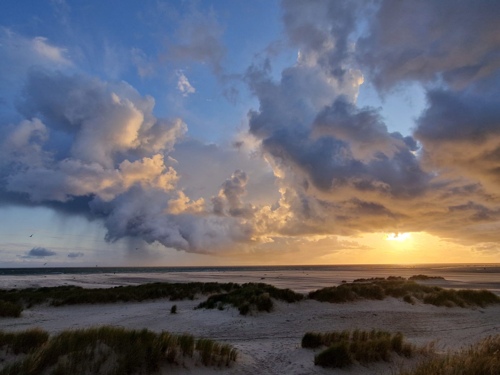 morning_21-08-2025.jpg
