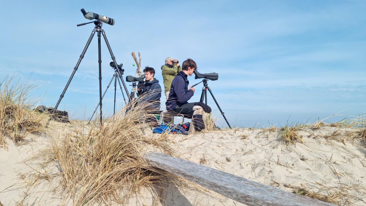 observationsetup2305
