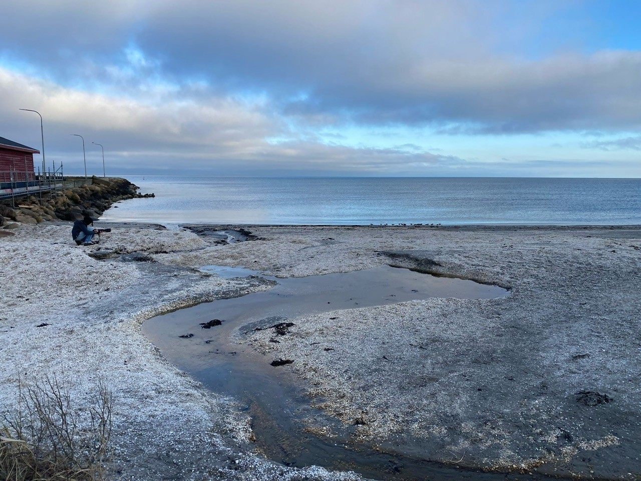 romanandturnstones