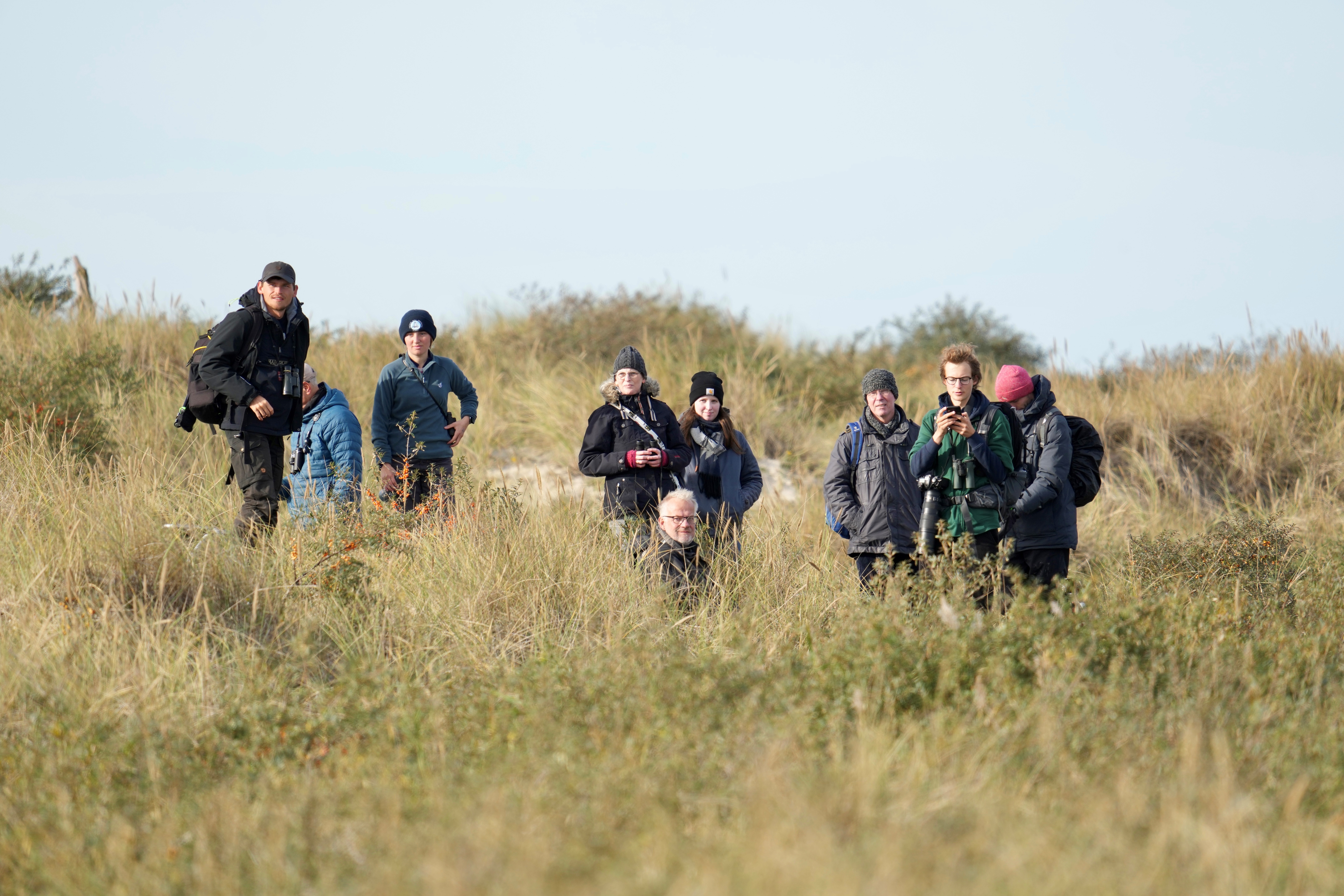 sibstonechat twitch