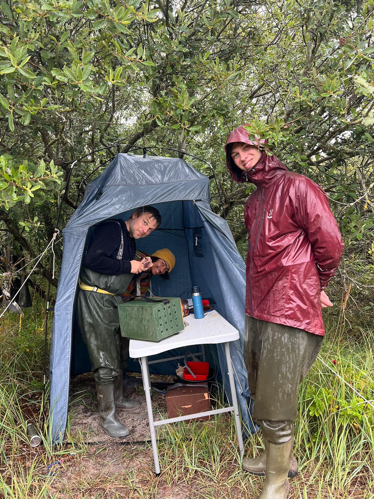 sortmejse_in_the_rain.jpg