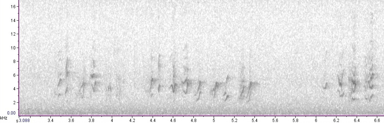 spectrogramxx