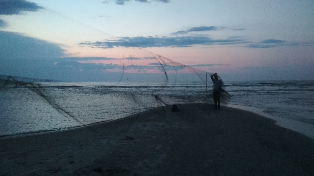 tern catching3