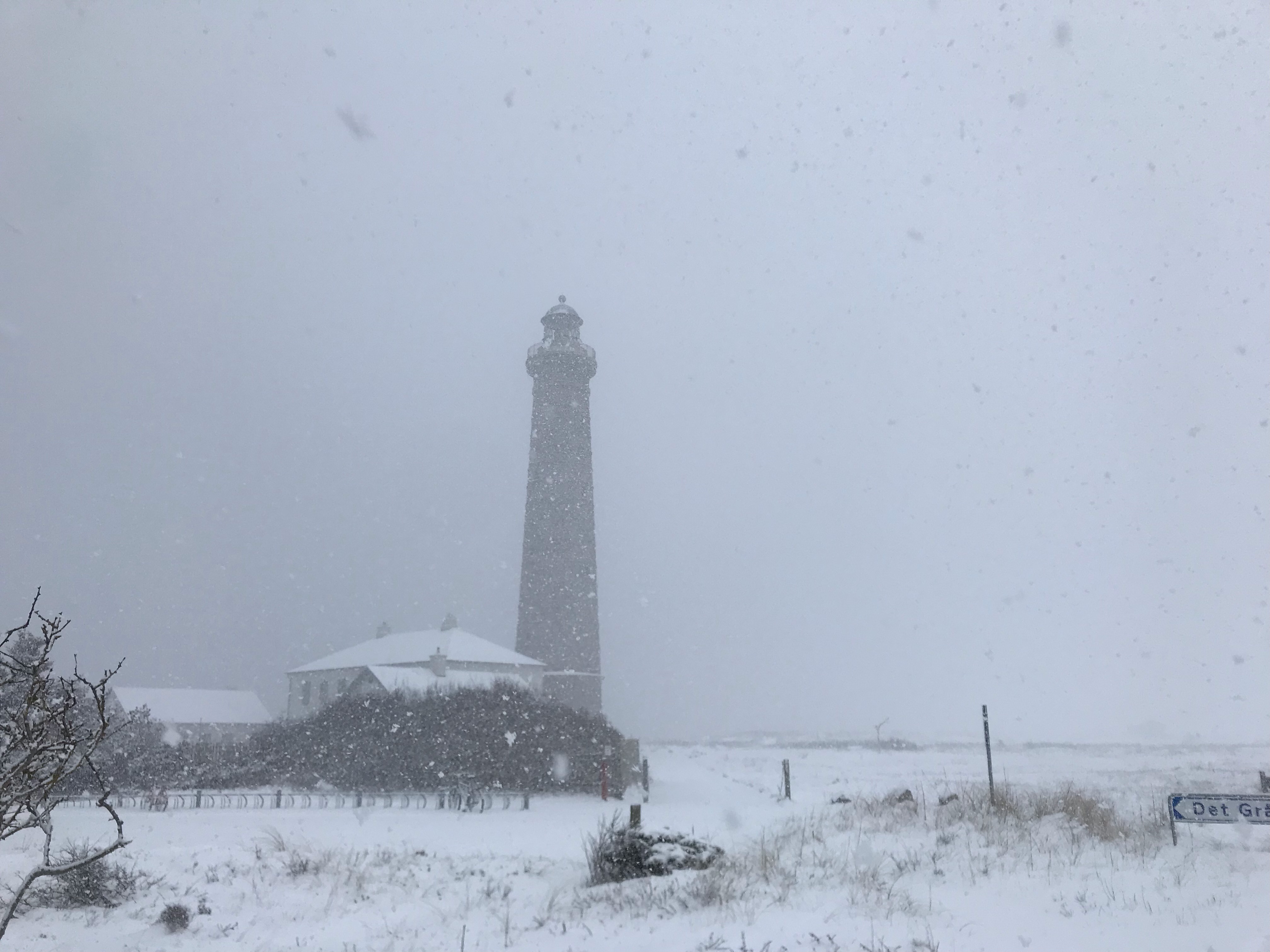 the grey lighthouse 2