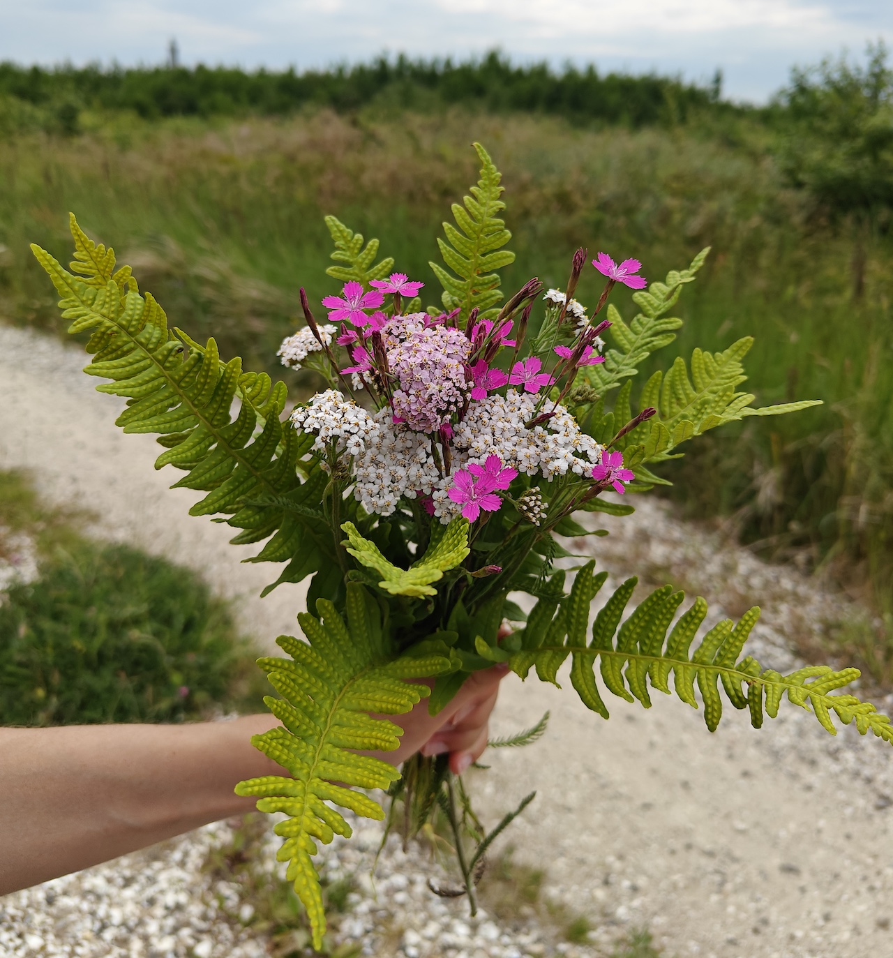 wildflower bouquet 280626